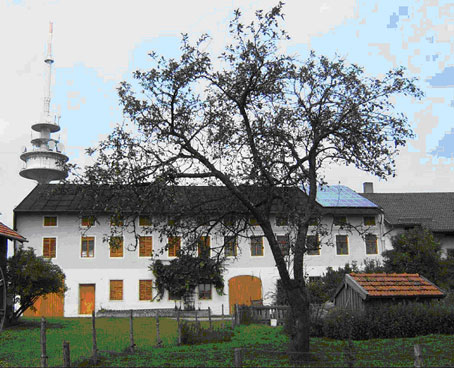 Bild: Obstbaum